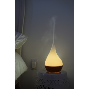 Canary Products Glass and Bamboo Aroma Diffuser CNPT1049